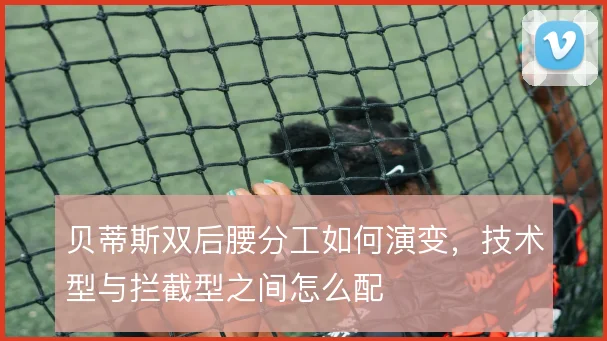 贝蒂斯双后腰分工如何演变，技术型与拦截型之间怎么配